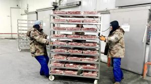 Logística China 2026