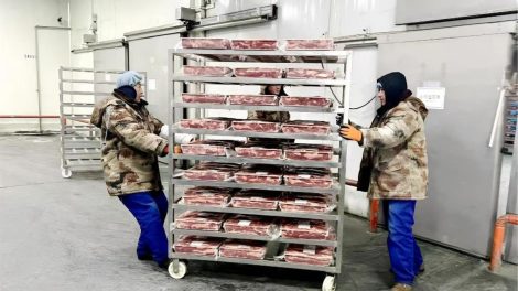 Logística China 2026