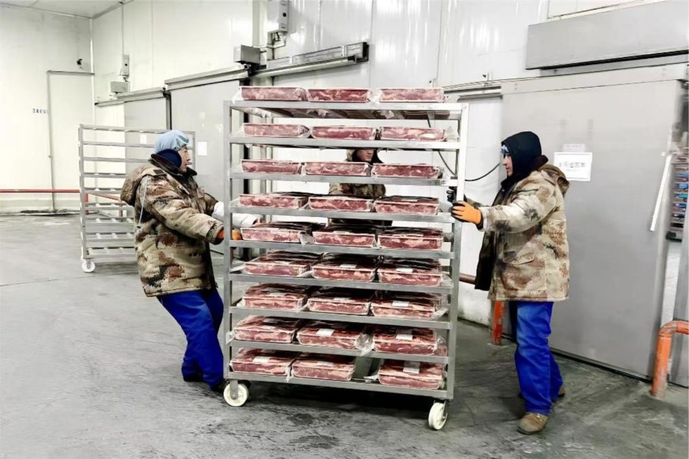 Logística China 2026