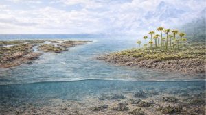 Plantas estudo chinês