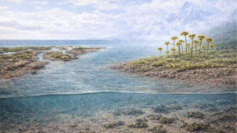 Plantas estudo chinês