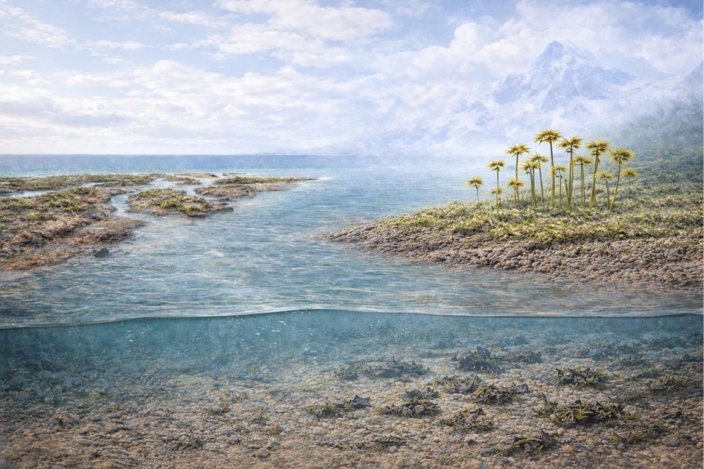 Plantas estudo chinês