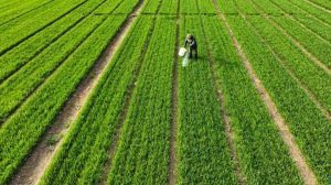 China moderniza agricultura