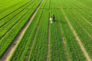 China moderniza agricultura