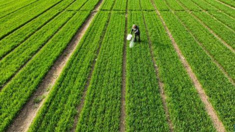 China moderniza agricultura