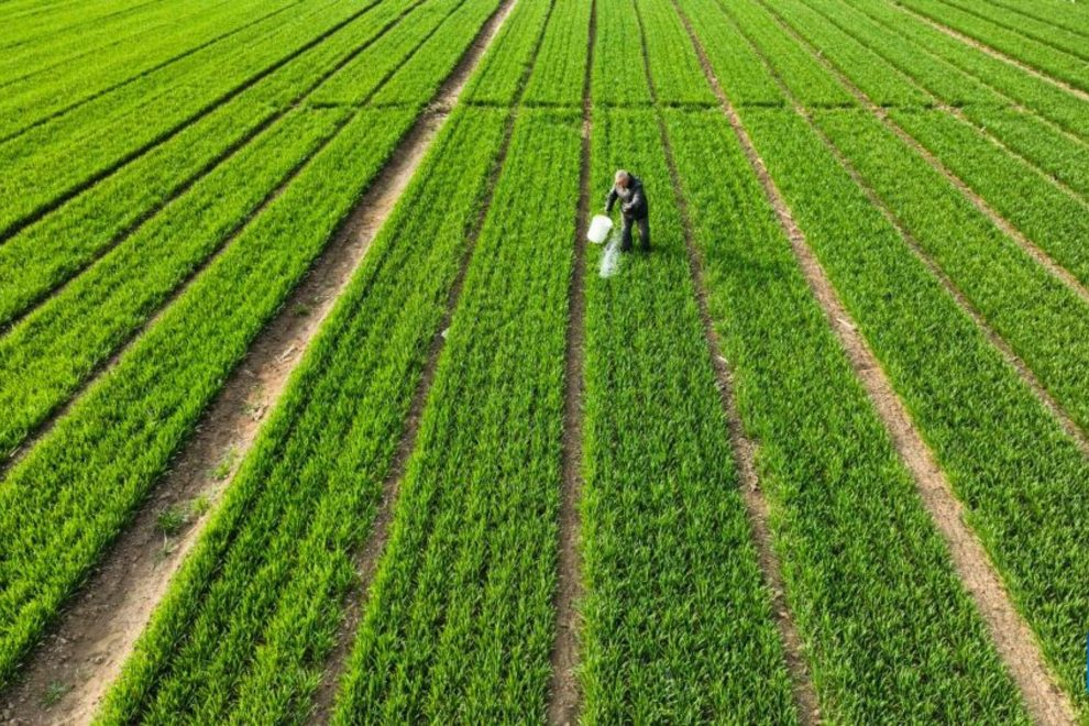 China moderniza agricultura