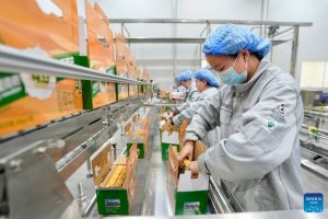 Dongguan Fábrica do Mundo