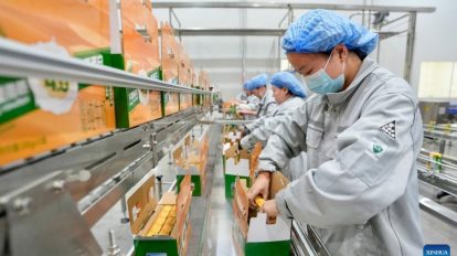 Dongguan Fábrica do Mundo