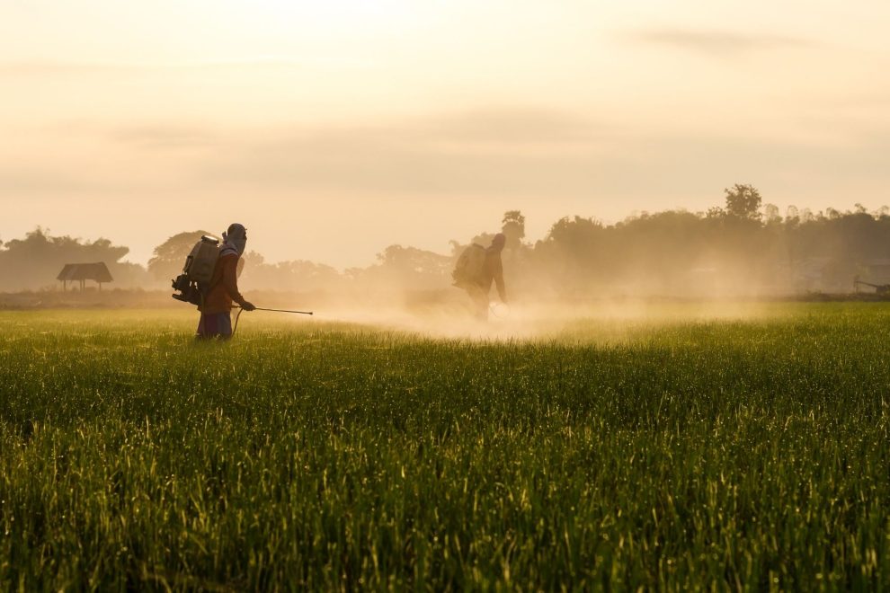 Mercado de fertilizantes