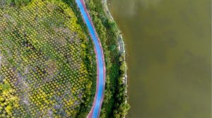 Monitoramento ambiental