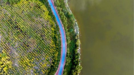Monitoramento ambiental