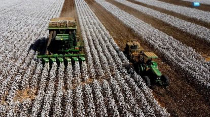 supersafra brasileira