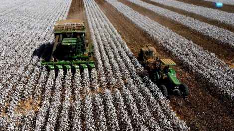 supersafra brasileira