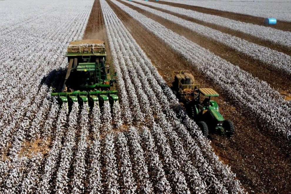 supersafra brasileira