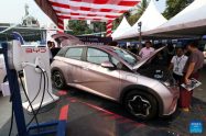 liderança global automotiva