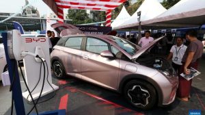 liderança global automotiva