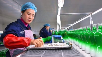 Plano apoiar empresas