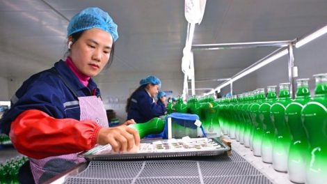 Plano apoiar empresas