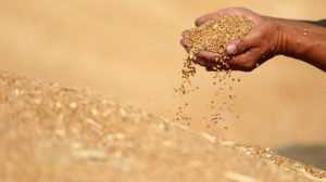 Pressão regulatória chinesa