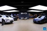 BYD Coreia do Sul