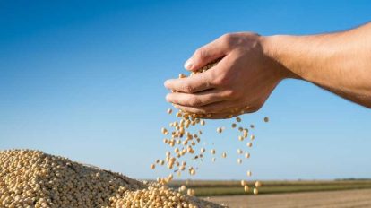 capital chinês no agro brasileiro