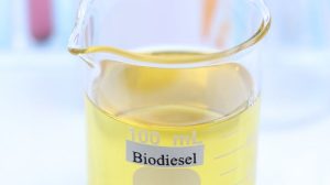 Brasil biodiesel