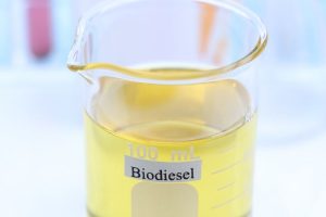 Brasil biodiesel