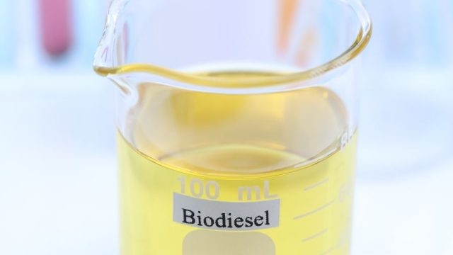 Brasil biodiesel