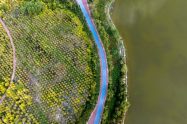 Plano climático da China