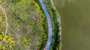 Plano climático da China