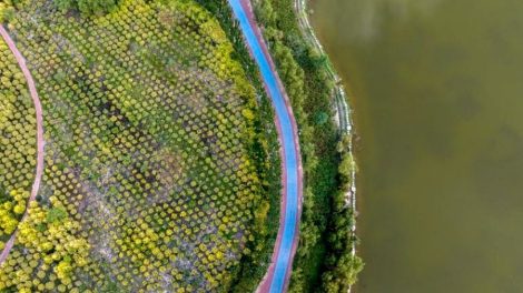Plano climático da China