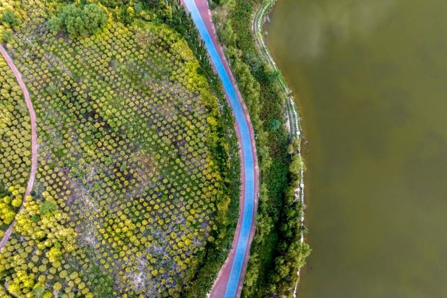 Plano climático da China