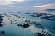 Economia marinha da China