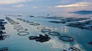 Economia marinha da China