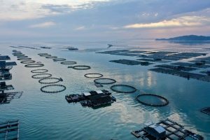 Economia marinha da China