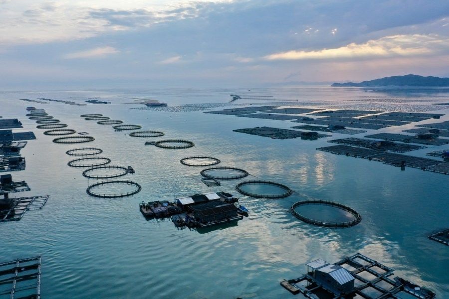 Economia marinha da China