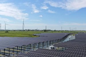 Eficiência de carbono