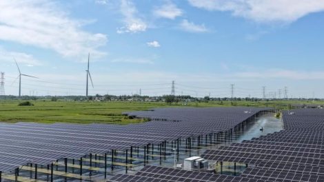 Eficiência de carbono
