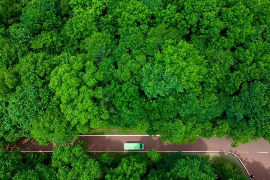 Redução de carbono