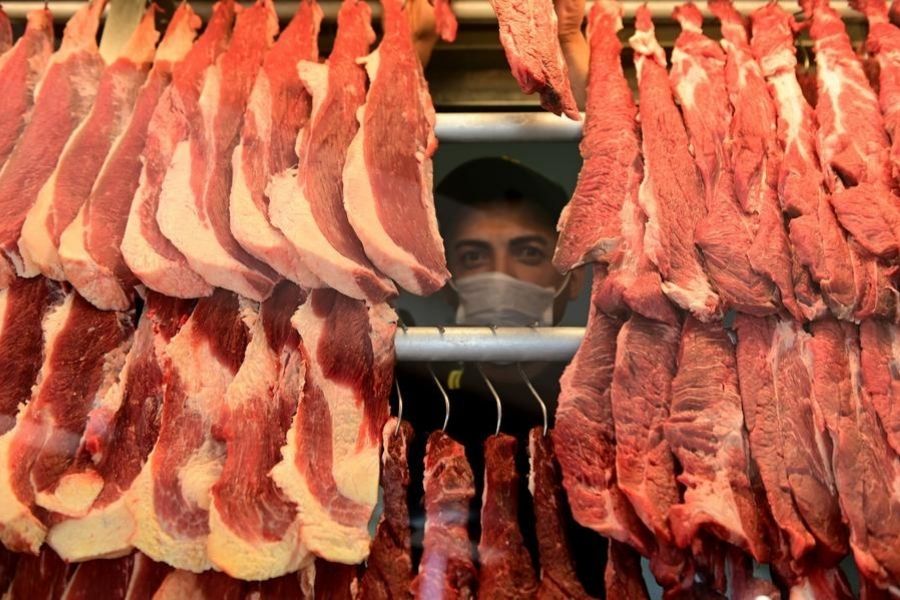 Brasil cota carne bovina