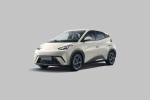 BYD Dolphin Mini
